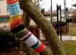 В американском городке неизвестный "вязальщик" украшает деревья одеждой