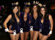 У США пройде виставка, присвячена зайцю Playboy
