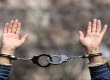 Украинских школьников будут учить противодействовать торговле людьми