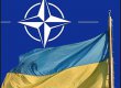Эксперты: дипмиссию Украины при НАТО возглавит Игорь Долгов