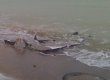 В Одесской области опрокинулись две баржи с рудой