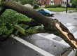 Из-за урагана в Черниговской области погиб 16-летний парень