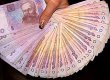 У січні-липні приватизація принесла держбюджету 311,6 млн гривень