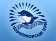 Підсумки XII Всеукраїнського благодійного дитячого  фестивалю "Чорноморські Ігри"