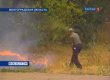 Пожежа у Волгоградській області знищила понад 500 будівель
