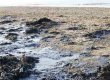 British Petroleum сняла предохранитель со скважины в Мексиканском заливе