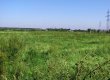 Прокуратура Киева возбудила дело по факту незаконного выделения 2,5 га земли в Жулянах