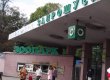 КРУ нашло в Киевском зоопарке нарушений на 328 млн гривен