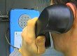 Янукович поручил Азарову создать аналог американской службы 911