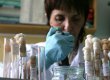 В Донецке обнаружен первый случай заболевания "свиным" гриппом