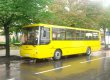 В Тернополе автоперевозчики начали забастовку