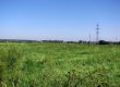 Рада відмовилася продовжити мораторій на продаж сільгоспземель до 2015 року