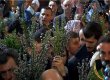 Сегодня христиане восточного обряда отмечают Вербное воскресенье