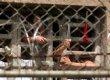Заключенные одной из тюрем Каракаса захватили 15 заложников