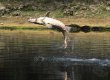 Во Флориде огромный осетр запрыгнул в лодку и сломал девушке ногу