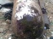 В Одесской области на мине подорвался тракторист