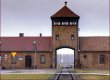 Ізраїльські пенсіонери викрали ложки з музею концтабору "Аушвіц-Біркенау"