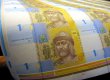 Пинзеник выступил за гибкий курс гривны