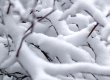 В Южной Америке люди страдают от снега, а в Европе &ndash; от жары (видео)