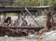 В Грозном из-за прорыва дамбы эвакуировали свыше 2 тыс. человек