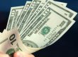 Безробітний тесля в США знайшов у себе на городі 150 тис. доларів
