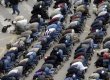 В Париже запретили молиться на улицах
