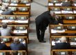 Депутати відмовилися встановити дітям війни доплату до пенсій