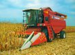 В Ровенской области комбайн насмерть смолотил бомжа, воровавшего кукурузу