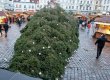 В Таллинне упала главная рождественская ель