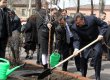 Янукович посадив дерево в Єрусалимському лісі