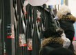 Под Апелляционным судом сторонники Тимошенко снова подрались с "Беркутом"