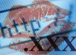 Університети та музеї масово скуповують порнодомени