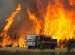 Чилійська влада через пожежі закрила національний парк