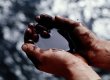 Главы МИД ЕС одобрили введение эмбарго на поставки иранской нефти