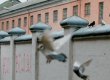 Тюремщики назвали причиной смерти 21-летнего парня в Лукьяновском СИЗО удар током