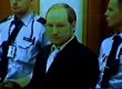 Врачи поместят Брейвика на месяц в психбольницу для изучения
