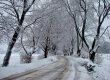В Черниговской области путешествовавшие автостопом двое иностранцев попали в больницу с обморожением