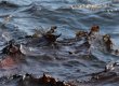 В Феодосийском порту произошла утечка нефтепродуктов с российского судна