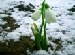 МНС: весна настане 15 березня