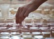 Беларусь отказалась от ультиматума - запрет на украинскую с/х-продукцию введен не будет
