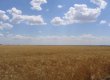Регіонали мають намір ввести податок на використання землі