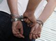 ЗМІ: розтерзану собаками кримчанку зґвалтували її знайомі