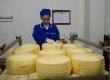 Україна і Росія домовилися зняти обмеження на експорт сирів