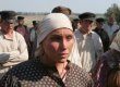 Головну кінопремію "Ніка" отримав фільм "Жила-була одна баба"