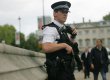 В Великобритании из университетского музея похитили экспонаты на 3,2 млн долларов