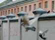 У Лук'янівському СІЗО призначено тимчасового начальника