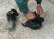Захисники слонів з Європи подарували співробітникам зоопарку в Алмати броньоване взуття