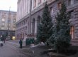 Ночью с Крещатика были вывезены девятиметровые голубые ели