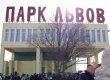 В крымском парке львов девочка выпустила из вольеров животных