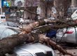 У Москві ураган повалив майже 150 дерев і травмував двох людей